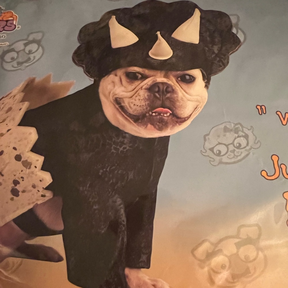 Worn one time! Dog dino costume my frenchie is 25 pounds for reference!